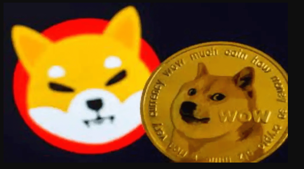 Baby Doge Coin and EGC- Top Binance Chain Currencies surges in 2022